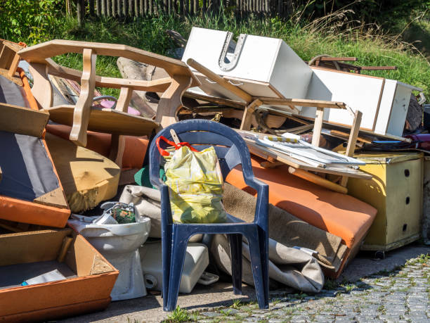 Best Electronics Removal Services  in Stockton, IL